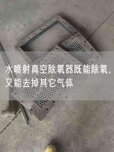 水噴射真空除氧器既能除氧，又能去掉其它氣體