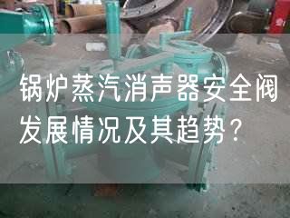 鍋爐蒸汽消聲器安全閥發(fā)展情況及其趨勢(shì)？