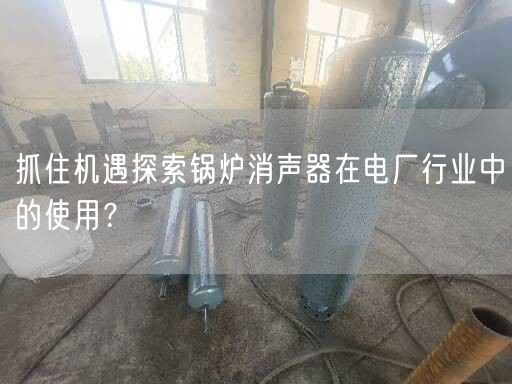 抓住機(jī)遇探索鍋爐消聲器在電廠(chǎng)行業(yè)中的遙遙？