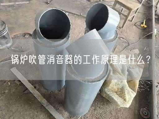 鍋爐吹管消音器的工作原理是什么？