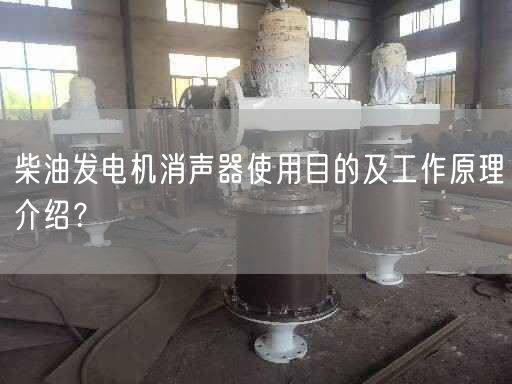 柴油發(fā)電機(jī)消聲器遙遙目的及工作原理介紹？