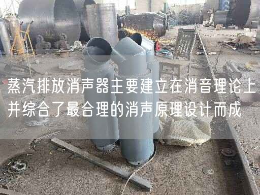 蒸汽排放消聲器主要建立在消音理論上并綜合了較合理的消聲原理設(shè)計(jì)而成