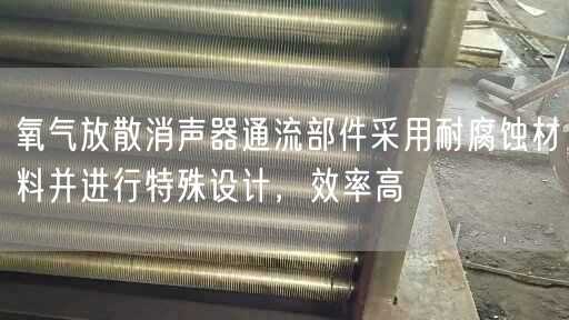 氧氣放散消聲器通流部件采用耐腐蝕材料并進(jìn)行特殊設(shè)計(jì)，效率高