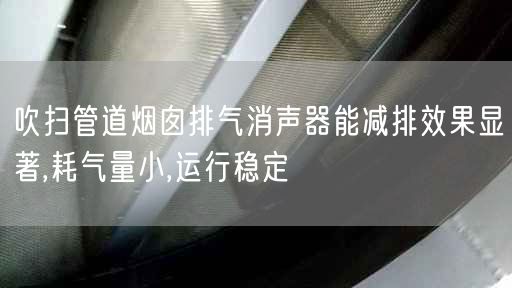 吹掃管道煙囪排氣消聲器能減排遙遙遙遙,耗氣量小,運(yùn)行穩(wěn)定